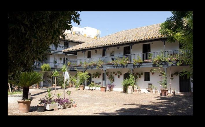 סביליה Apartamento En Monumento Historico Nacional Corral Del Conde-Duque De Olivares מראה חיצוני תמונה